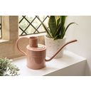 Kent & Stowe 1 Litre Watering Can - Rosé