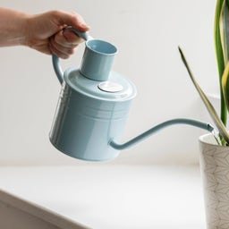 Kent & Stowe Gießkanne 1 Liter - Hellblau