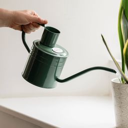 Kent & Stowe 1 Litre Watering Can - Green