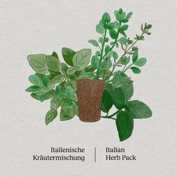 PlantPlugs - Mélange d'Herbes Italiennes | Lot de 8