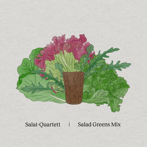 BerlinGreen PlantPlugs | Salade Mix 8-Pack