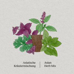 BerlinGreen PlantPlugs - Asian Herb Mix 8-Pack