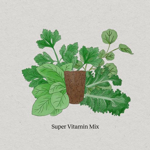 PlantPlugs - Mélange Super-Vitaminé | Lot de 8