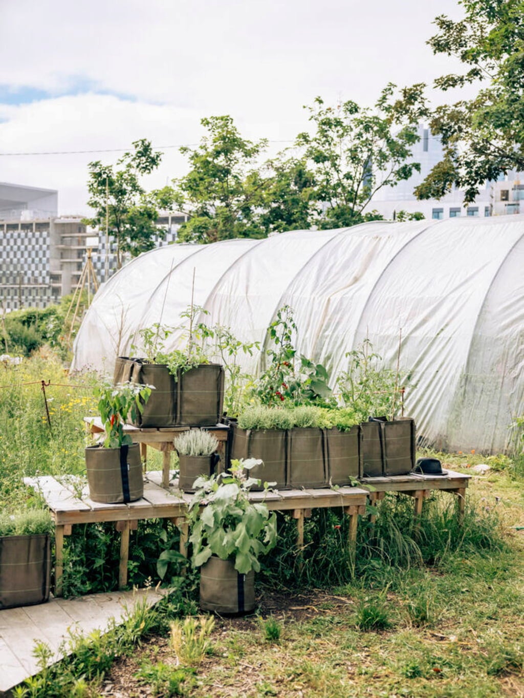 BACSAC Classic - Geotextile Planter Bag  - 100 L