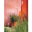 BACSAC Colour - 25 Litre Planter Bag - Rust