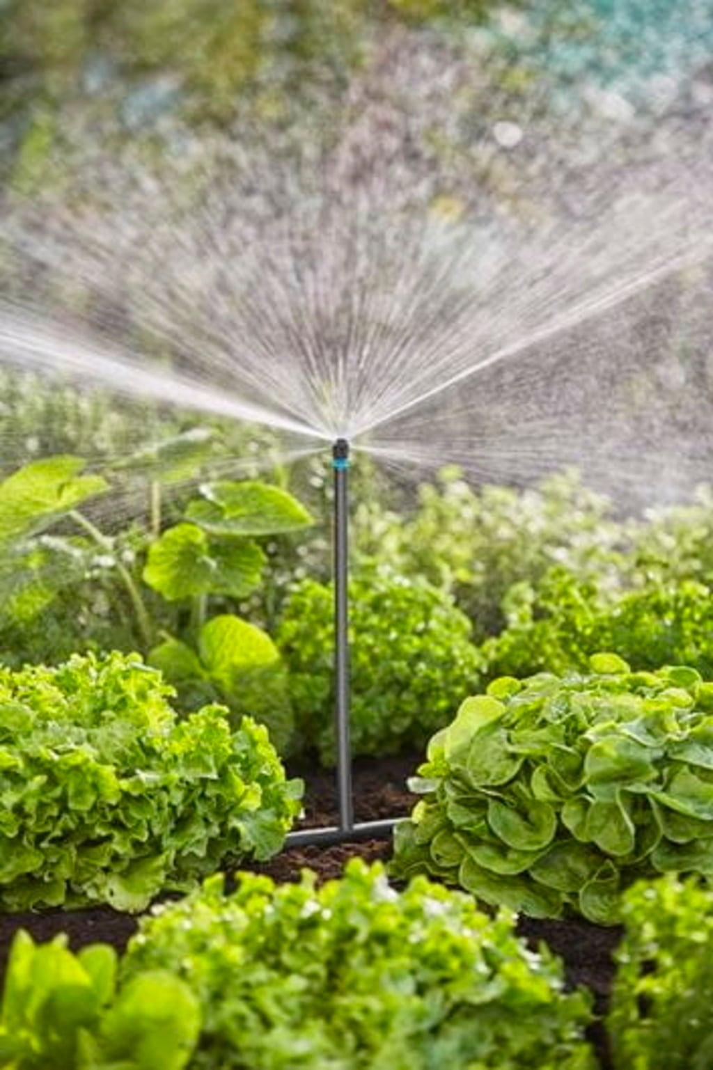 Micro-Drip-System set za namakanje za zelenjavo-/gredo z rožami (60 m²)