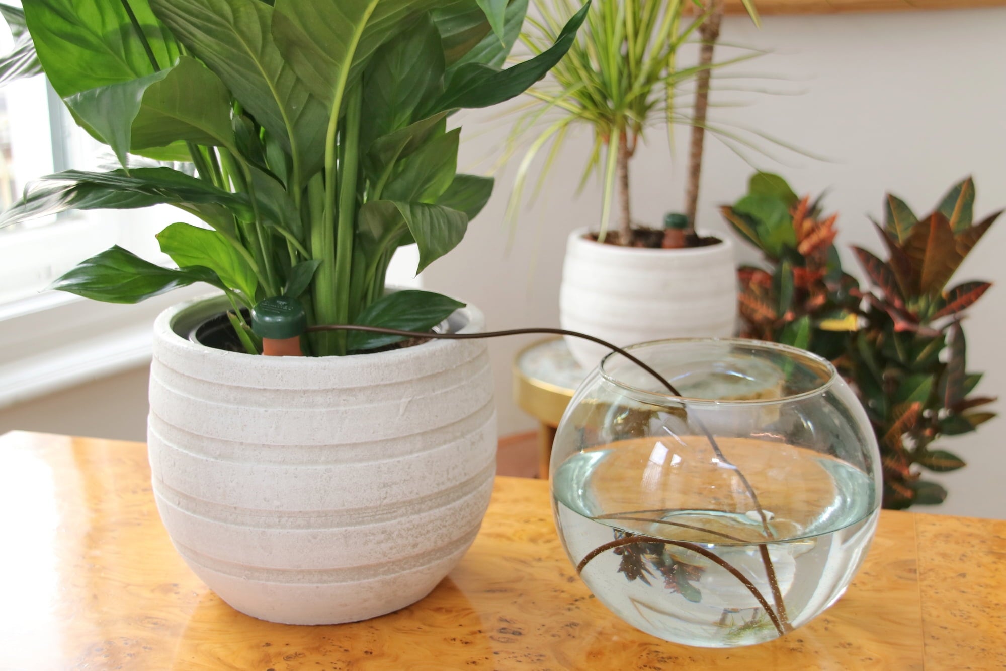 Blumat Classic - Pour Plantes d'Intérieur | Pack - 3 pièces