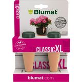 Blumat Classic XL - Pour Plantes d'Intérieur | Pack