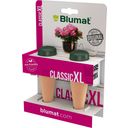 Blumat Classic XL - Pour Plantes d'Intérieur | Pack - 2 pièces