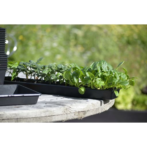 Nelson Garden Solid Cultivation Tray 14 x 68 cm