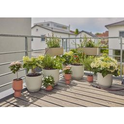 Balkonski set za kapljično namakanje Micro-Drip-System (15 rastlin)