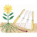 Zanka za pletje / ročno orodje za odstranjevanje plevela 