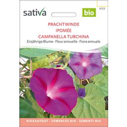 Sativa Bio Wilec purpurowy