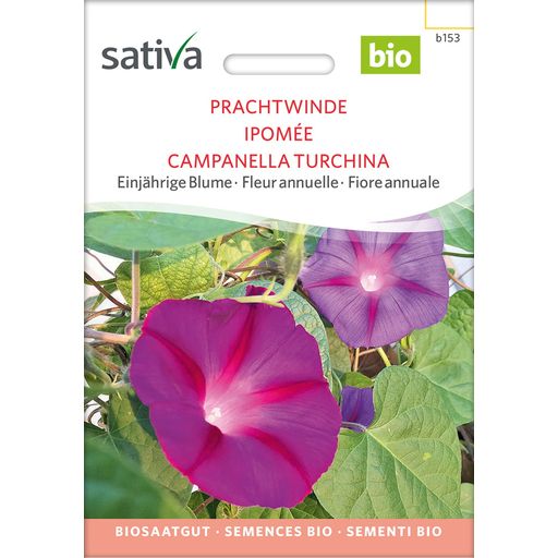 Sativa Bio Prachtwinde