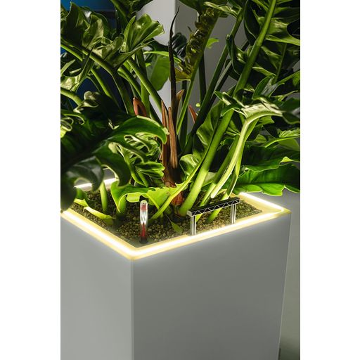 Lechuza CANTO Premium 40 Low Planter, LED