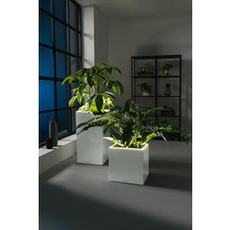 Lechuza Plantenbak CANTO Premium 40 Low, LED