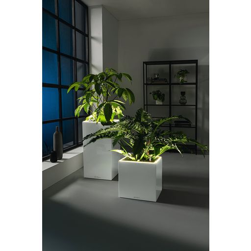 Lechuza CANTO Premium 40 Low Planter, LED