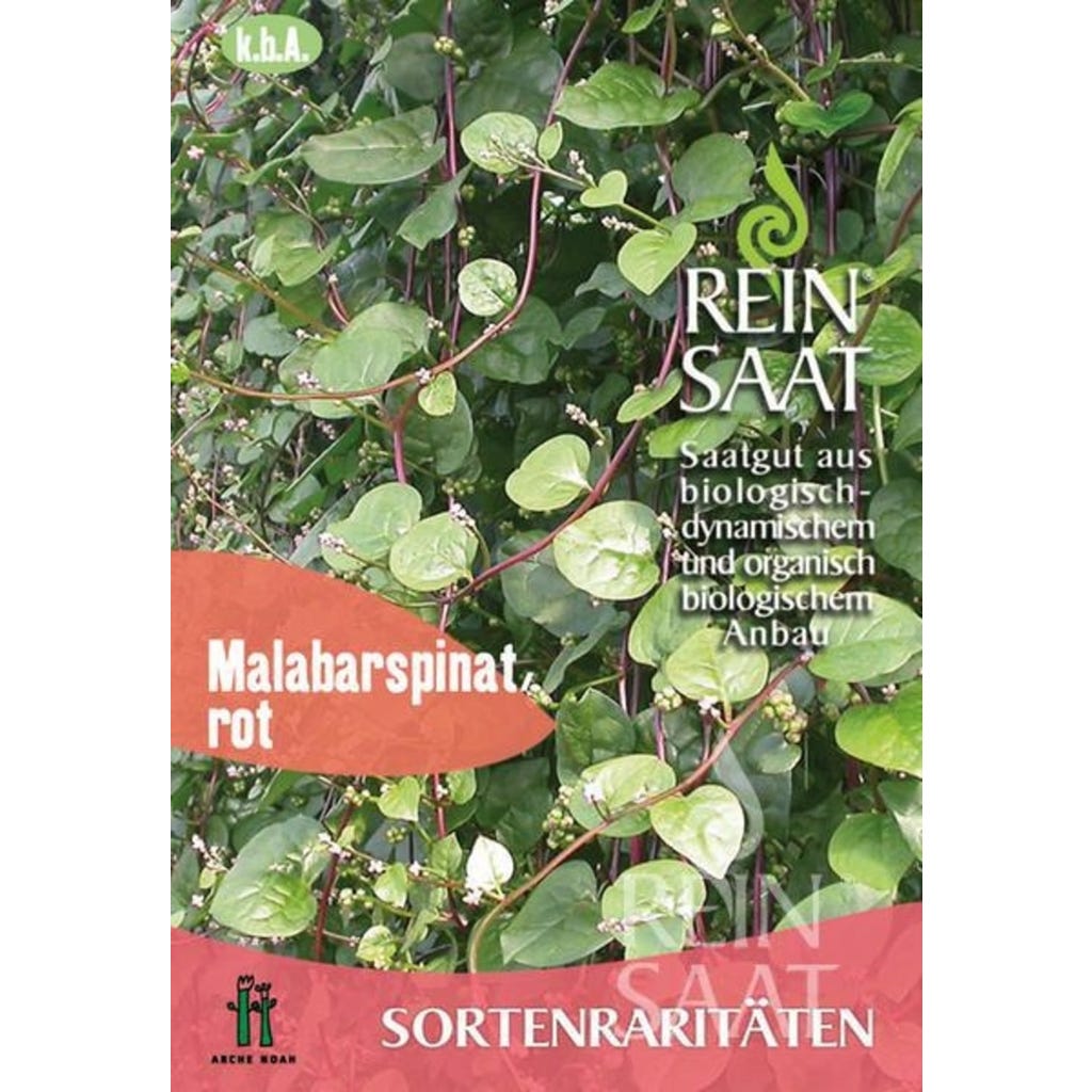 ReinSaat Sortenraritt "Roter Malabarspinat", 1 Packung - Bloomling  Deutschland