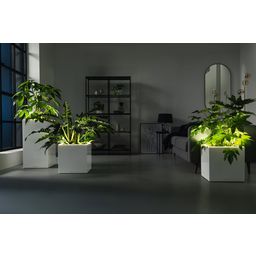 Lechuza Plantenbak CANTO Premium 40 High, LED