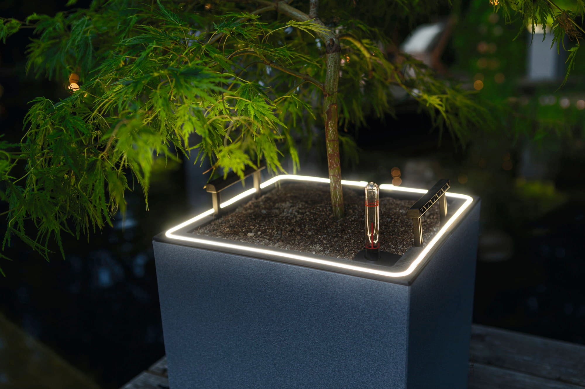 Lechuza CANTO Stone 30 LED Planter, Low