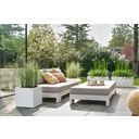 elho vivo next Long Planter - 60 cm - white