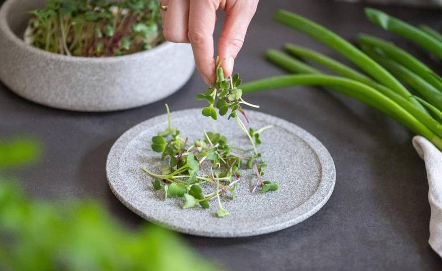 Denk Keramik Microgarden