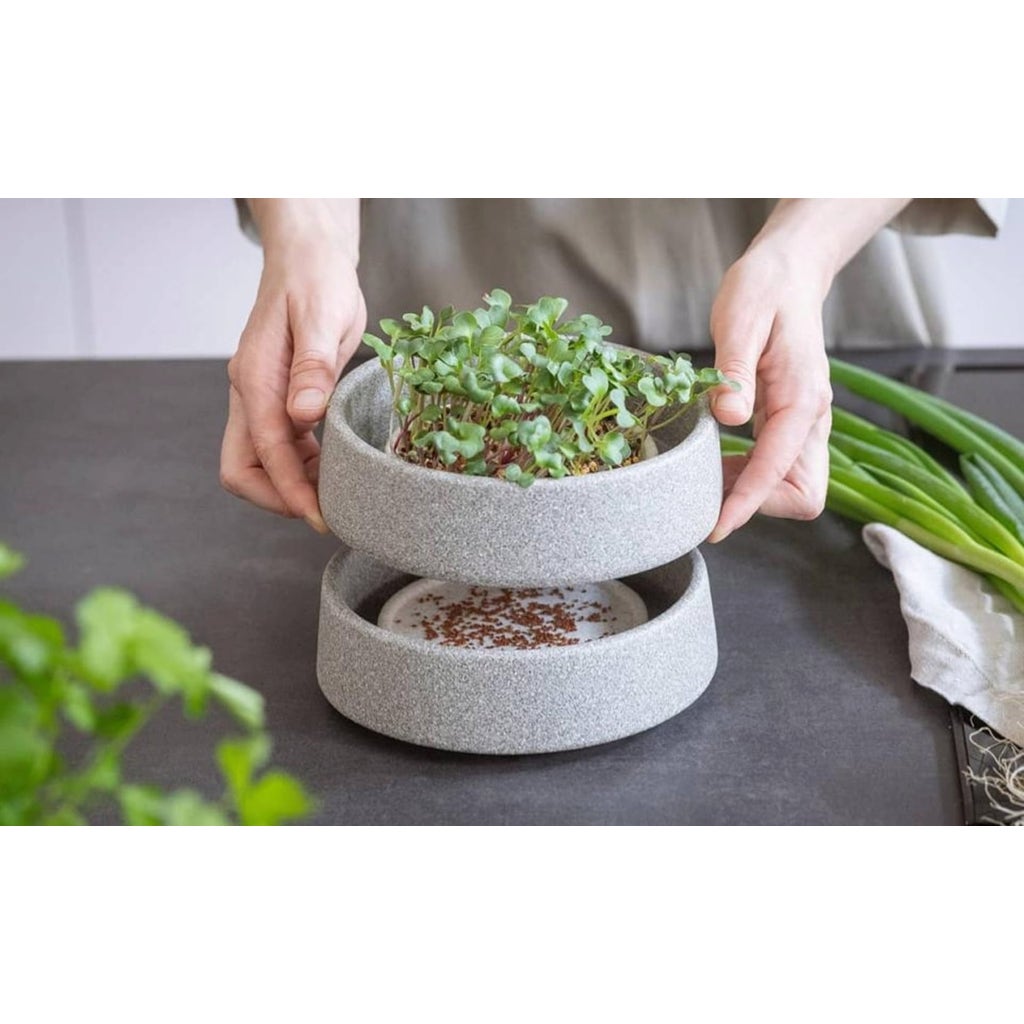 Denk Keramik Microgarden, 1 Set Bloomling International