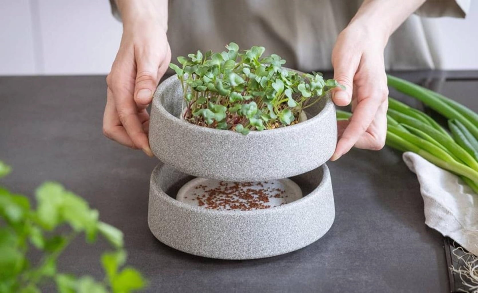 Denk Keramik Microgarden