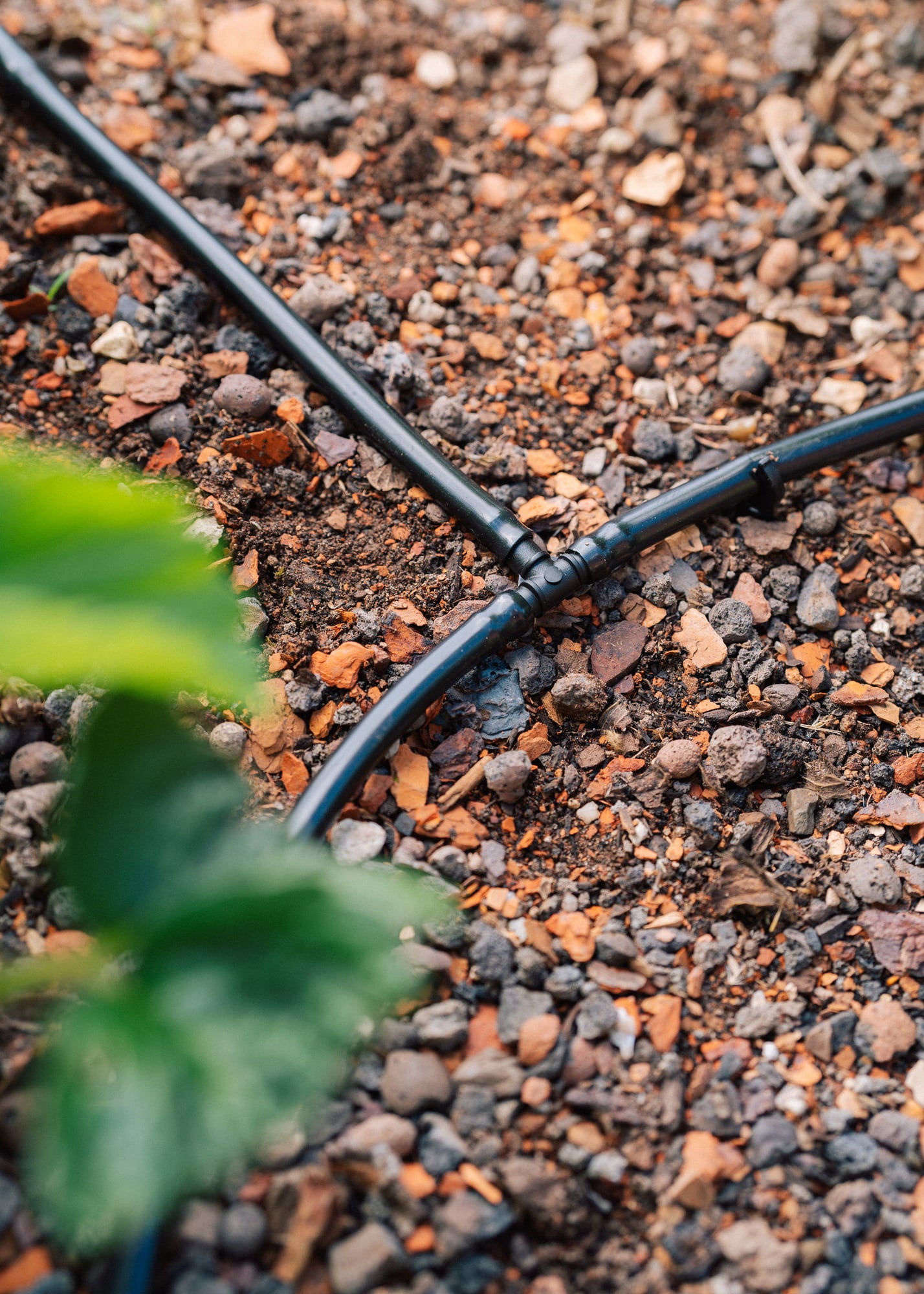 Vegetable & Flower Beds Basic Irrigation Set 