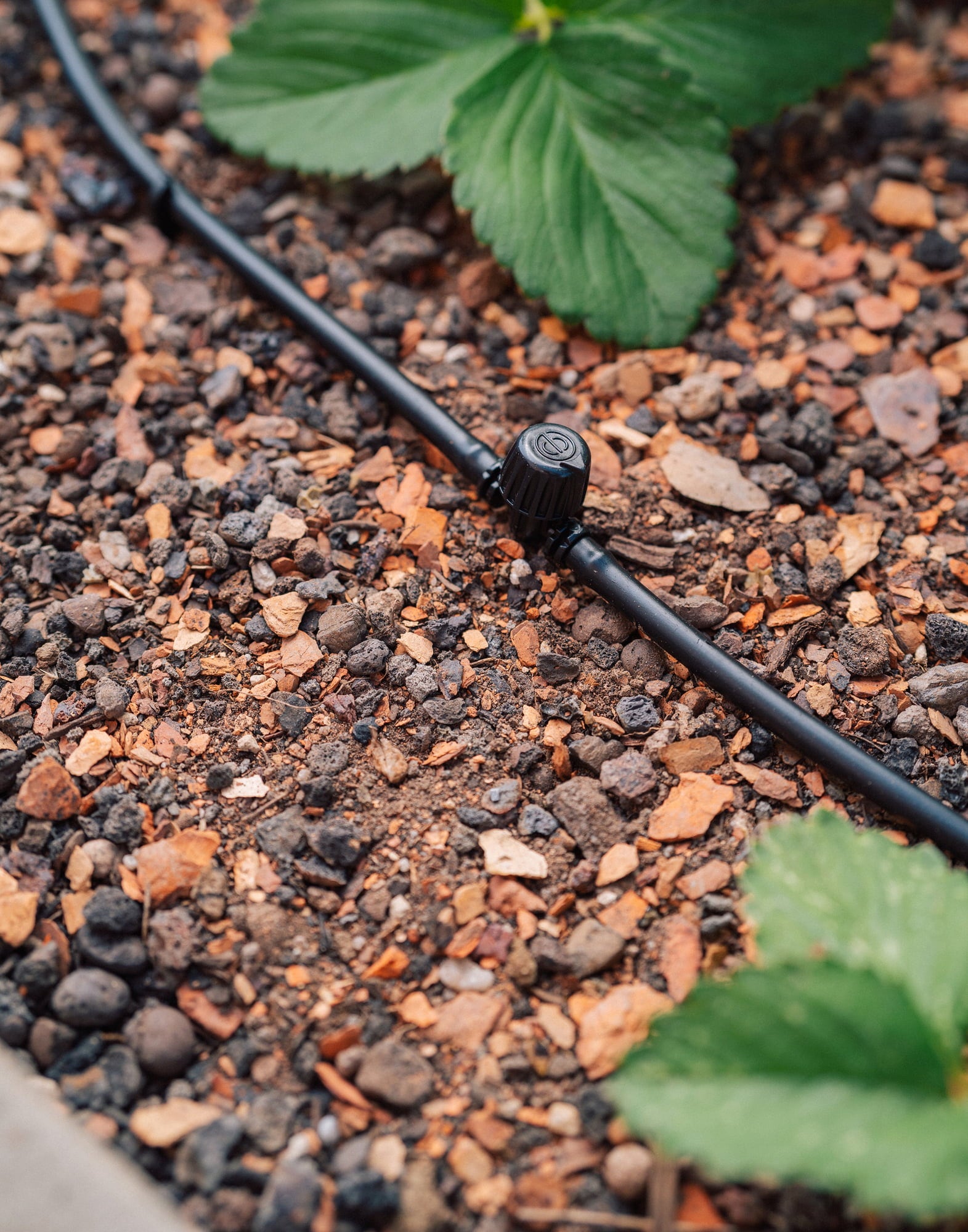 Vegetable & Flower Beds Basic Irrigation Set 