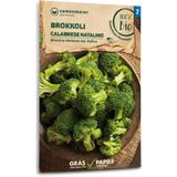 Samen Maier Organic Broccoli "Calabrese natalino"