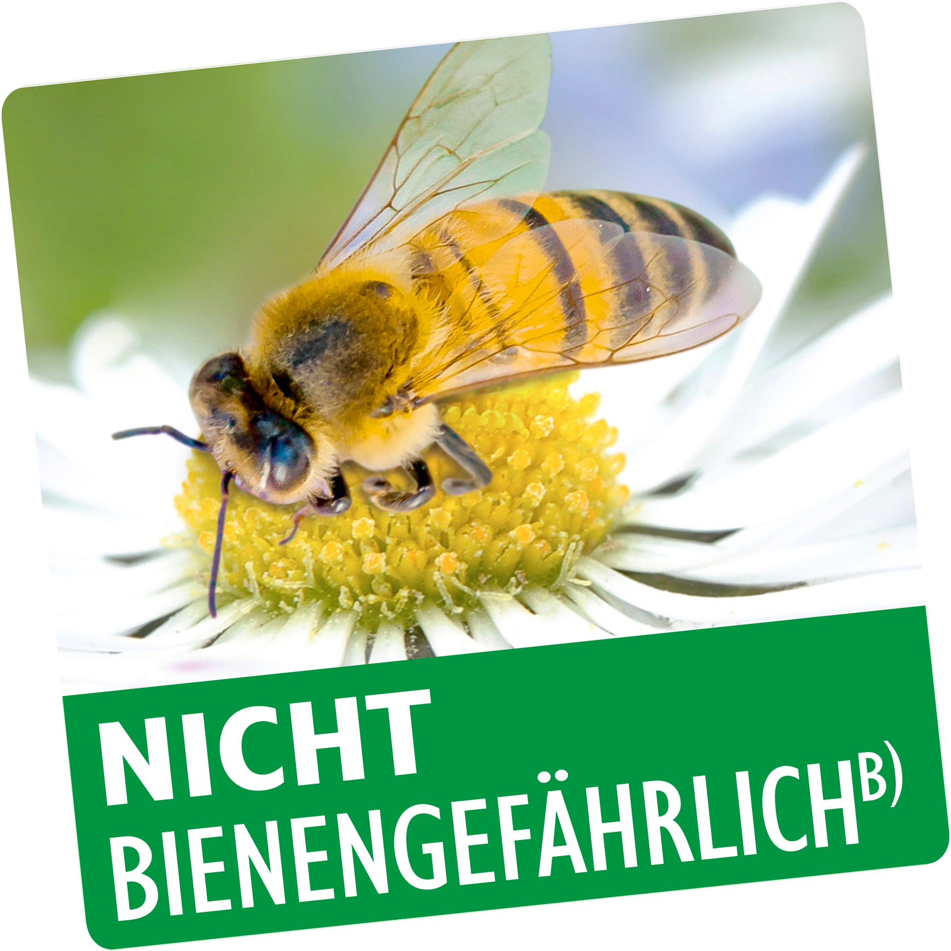 Insecticide Spruzit Neem pour Plantes Ornementales - 450 ml