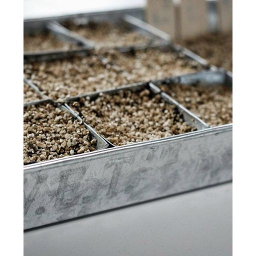 Cultivation Tray with 70 Individual Pots - Galvanized Steel - 1 Set