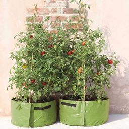 2-delni set rastlinskih vreč za paradižnike - Zelena