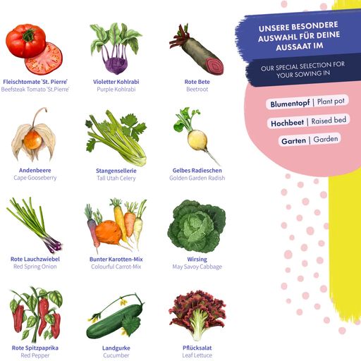 Magic Garden Seeds Graines de Légumes - Variétés Colorées
