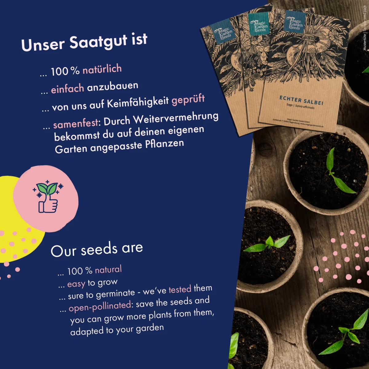 Magic Garden Seeds Graines de Légumes - Variétés Anciennes
