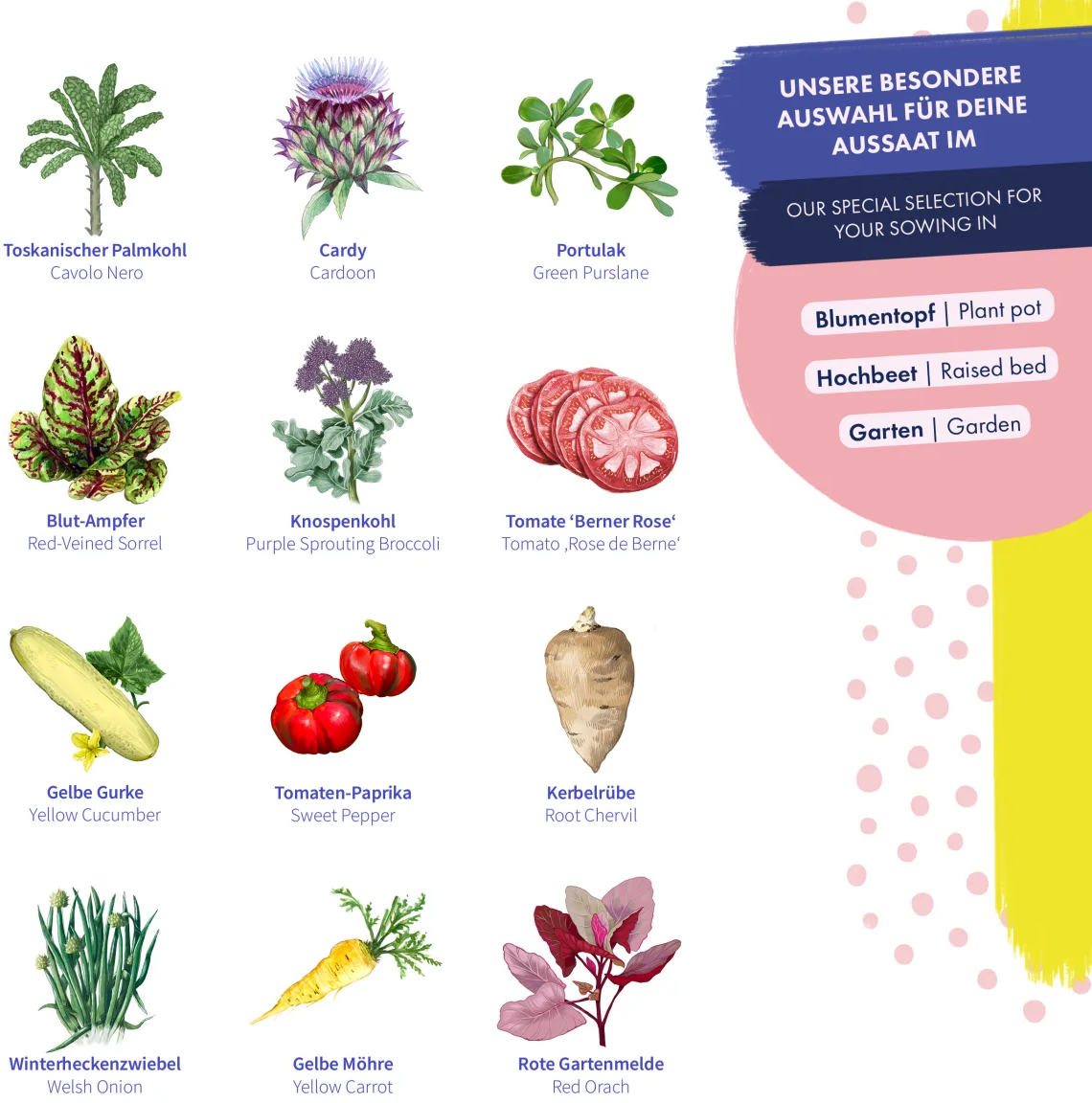 Magic Garden Seeds Graines de Légumes - Variétés Anciennes