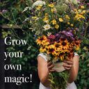 Magic Garden Seeds Graines de Fleurs - Sauvages & Colorées