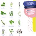 Magic Garden Seeds Semi di Erbe - Aromatiche e Deliziose