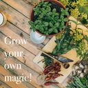 Magic Garden Seeds Semi di Erbe - Aromatiche e Deliziose