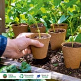 Romberg 96 Vasos de Cultivo 6 cm redondos