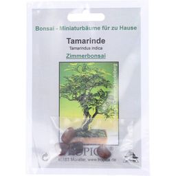 TROPICA Tamarindusz - 1 csomag