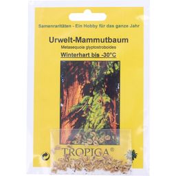 TROPICA Urwelt-Mammutbaum
