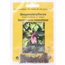 TROPICA Gespensterpflanze - 1 Pkg