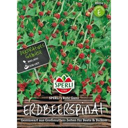 Strawberry Spinach "Sperli's Red Goose"