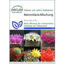 Saflax Mezcla de Mammillaria