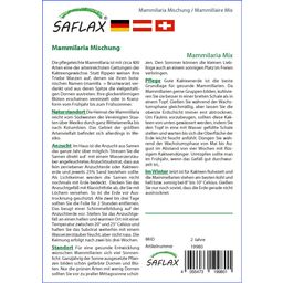 Saflax Mammillaria - Mélange 