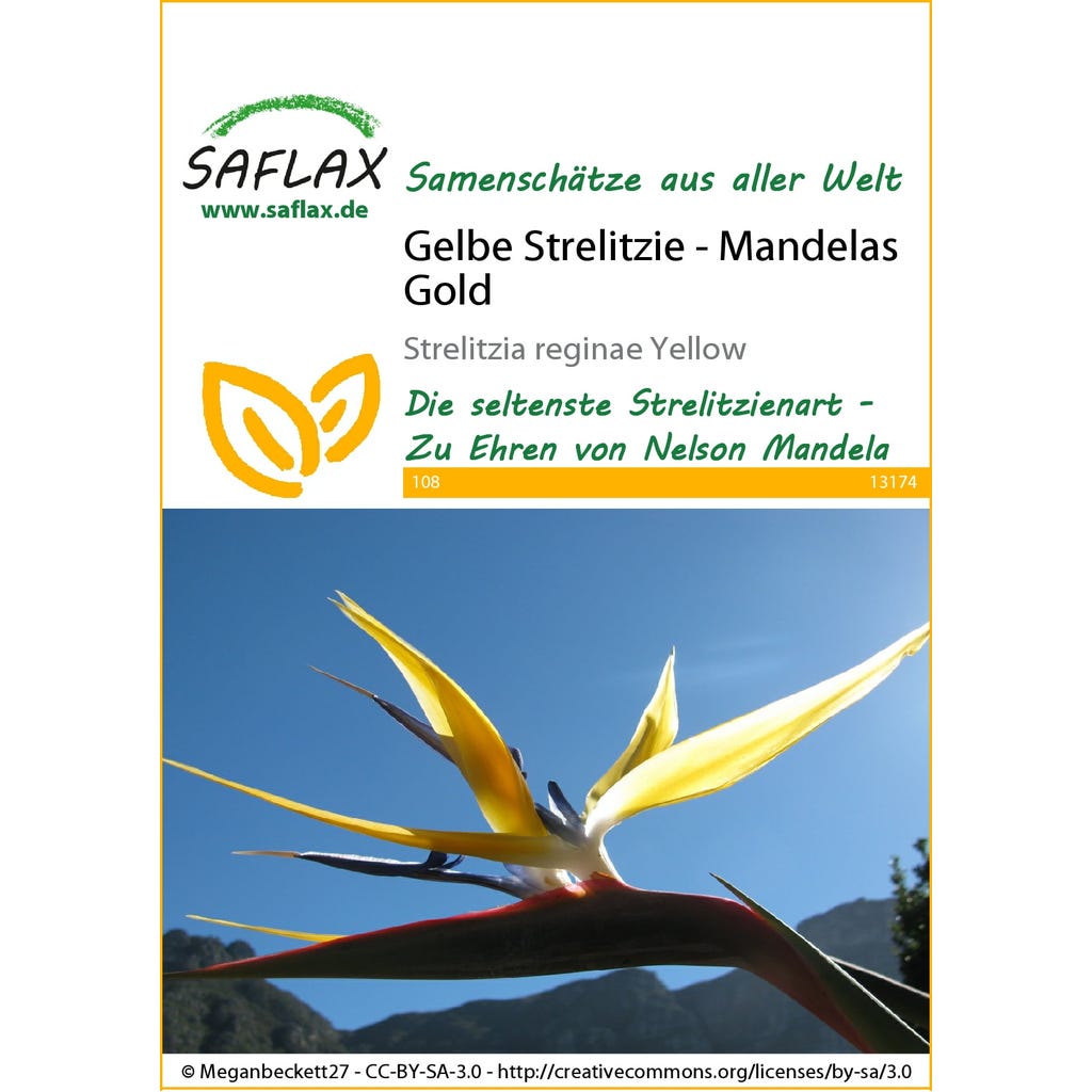 Saflax Yellow Strelitzia - Mandela's Gold, 1 Package - Bloomling  International