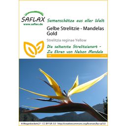 Saflax Gele Strelitzia - Mandelas Gold