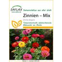 Saflax Zinnia's - Mix